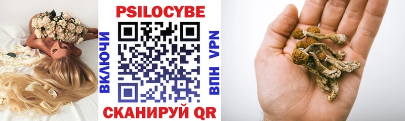 Псилоцибиновые грибы мухоморы  Купить где  Стрежевой 