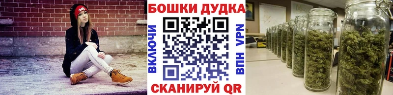 Купить где  Стрежевой  Канабис семена 